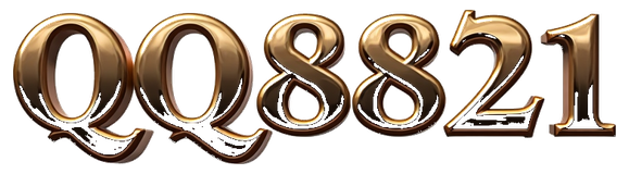 qq8821 logo